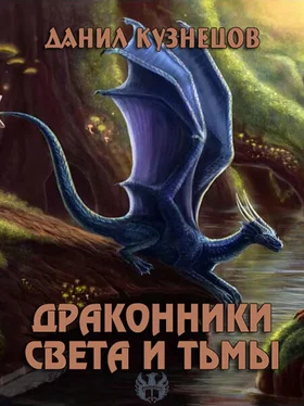Данил Кузнецов Драконники Света и Тьмы [СИ] обложка книги