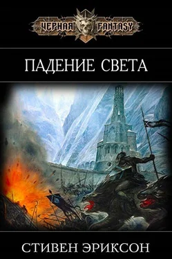 Стивен Эриксон Падение Света (ЛП) обложка книги