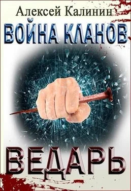 Алексей Калинин Ведарь обложка книги