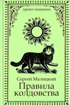 Сергей Малицкий Правила колдовства [СИ litres] обложка книги