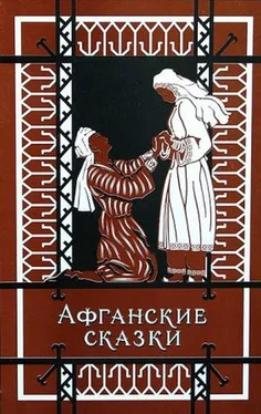 Народные сказки Афганские сказки обложка книги