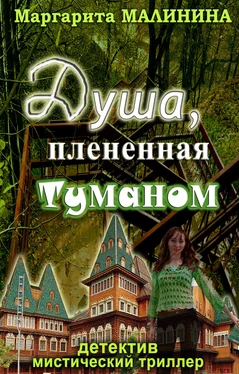 Маргарита Малинина Душа, плененная туманом обложка книги