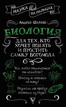 Андрей Шляхов Биология для тех, кто хочет понять и простить самку богомола обложка книги