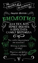 Андрей Шляхов - Биология для тех, кто хочет понять и простить самку богомола