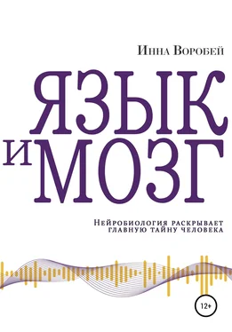 Инна Воробей Язык и мозг. Нейробиология раскрывает главную тайну человека обложка книги