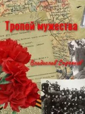 Владислав Стрелков Тропой мужества обложка книги