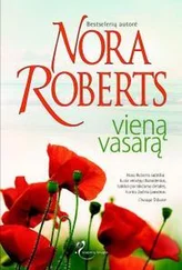 Нора Робертс - Viena vasara