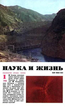 Неизвестный Автор Журнал Наука и жизнь, 1980 № 01 обложка книги