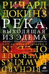 Ричард Докинз - Река, выходящая из Эдема. Жизнь с точки зрения дарвиниста