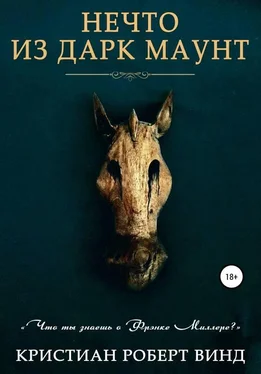 Кристиан Винд Нечто из Дарк Маунт [publisher: SelfPub с оптимизированной обложкой] обложка книги