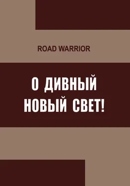 Максим Дынин О дивный Новый Свет! обложка книги