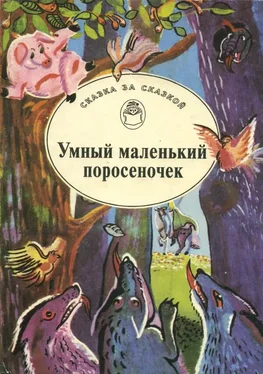 Народные сказки Умный маленький поросеночек [Сказки Венгрии и Румынии] обложка книги