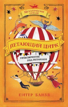 Питер Банзл Летающий цирк [litres] обложка книги