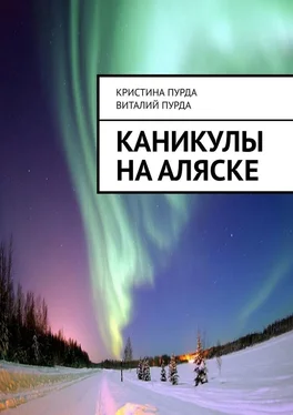 Кристина Пурда Каникулы на Аляске обложка книги