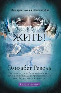 Элизабет Револь Жить! Моя трагедия на Нангапарбат обложка книги