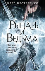 Олег Нестеренко - Рыцарь и ведьма [litres]