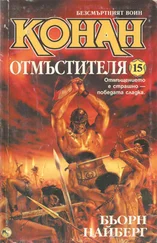 Бьёрн Ниберг - Конан отмъстителя