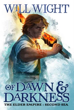 Will Wight Of Dawn and Darkness обложка книги