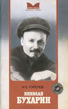 Игнат Горелов Николай Бухарин обложка книги