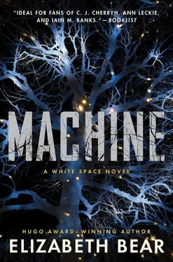 Элизабет Бир Machine обложка книги