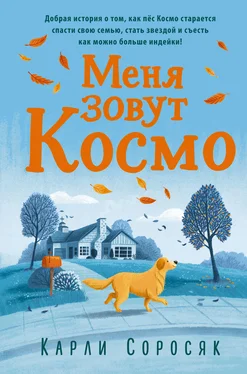 Карли Соросяк Меня зовут Космо обложка книги