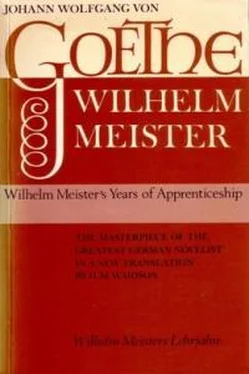 Иоганн Гёте Wilhelm Meister's Apprenticeship обложка книги