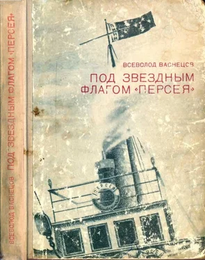 Всеволод Васнецов Под звездным флагом Персея обложка книги