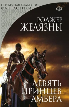 Роджер Желязны Девять принцев Амбера [litres] обложка книги