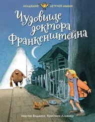 Мартин Видмарк - Чудовище доктора Франкенштейна [litres]