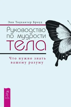 Энн Броуд Руководство по мудрости тела. Что нужно знать вашему разуму обложка книги