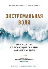 Джоко Виллинк - Экстремальная воля. Принципы, спасающие жизнь, карьеру и брак