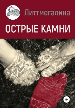 Литтмегалина Острые камни обложка книги