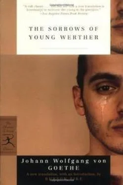 Иоганн Гёте The Sorrows of Young Werther обложка книги