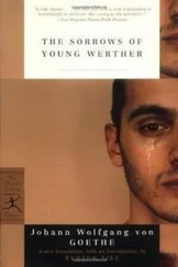 Иоганн Гёте - The Sorrows of Young Werther