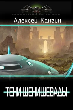 Алексей Кангин Тени Шенивашады [СИ] обложка книги