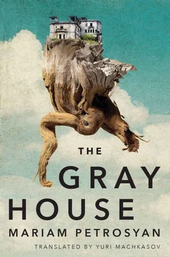 Мариам Петросян The Gray House обложка книги