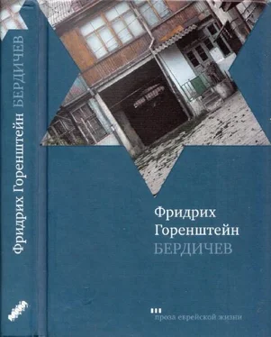 Фридрих Горенштейн Бердичев [сборник] обложка книги