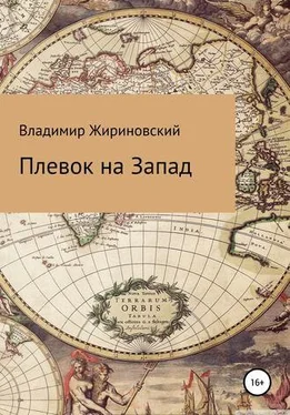 Владимир Жириновский Плевок на Запад обложка книги