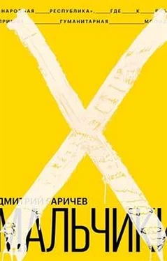 Дмитрий Гаричев Мальчики обложка книги