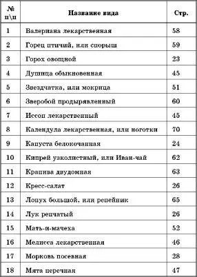 Божьи дары Лекарственные растения на дачном участке - фото 1