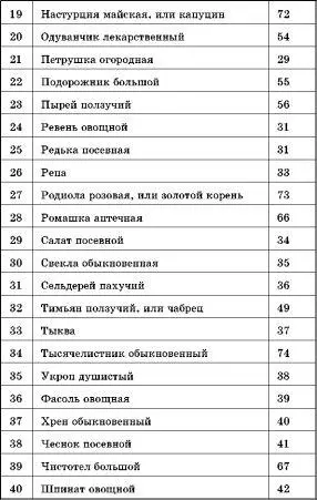 Божьи дары Лекарственные растения на дачном участке - фото 2