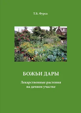 Татьяна Фурса Божьи дары. Лекарственные растения на дачном участке обложка книги