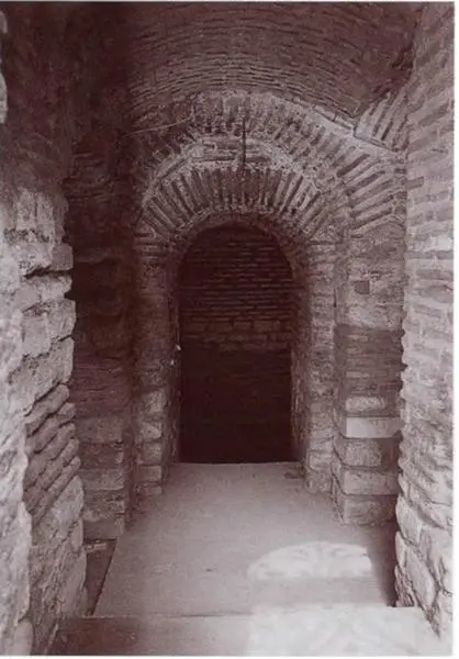 Остатки подземелий Большого императорского дворца Стамбул Турция Внешний - фото 15