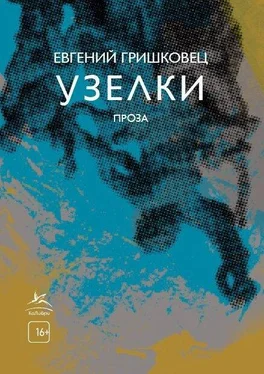 Евгений Гришковец Узелки обложка книги