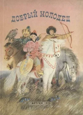 Народные сказки Добрый молодец [Сказки народов СССР] обложка книги