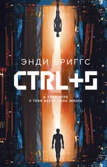 Энди Бриггс - CTRL+S [litres]