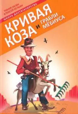 Тимур Гагин Кривая коза и Грабли Мёбиуса обложка книги