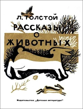 Лев Толстой Рассказы о животных обложка книги