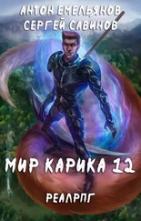 Антон Емельянов - Осколки [СИ]