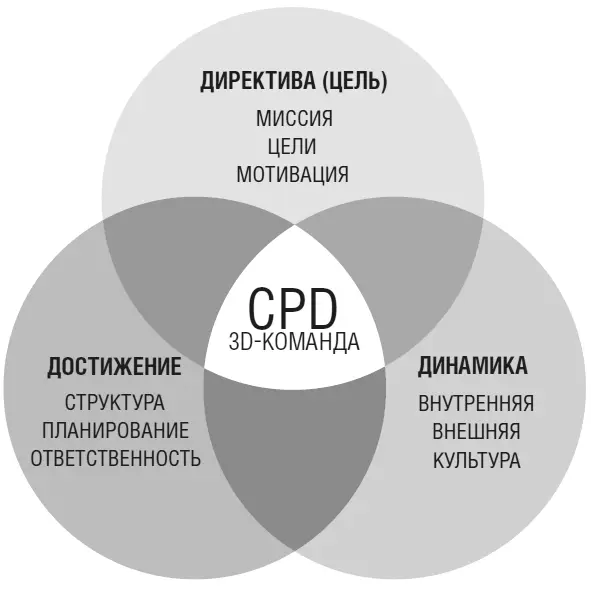 Рассмотрите и обсудите свою команду сквозь каждую из этих девяти призм - фото 16